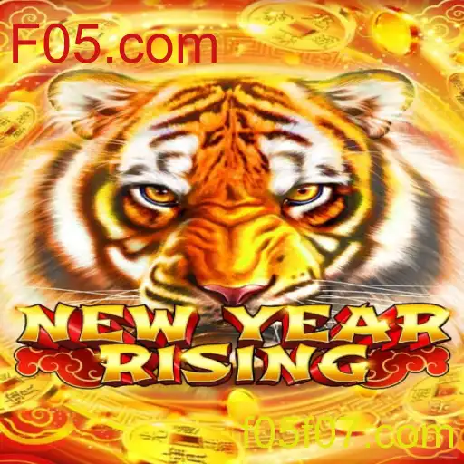 Explorando o Universo de NewYearRising